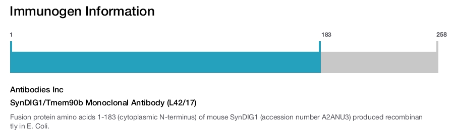 SynDIG1/Tmem90b Monoclonal Antibody (L42/17)