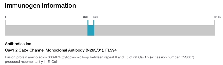 Cav1.2 Ca2+ Channel Monoclonal Antibody (N263/31), FL594