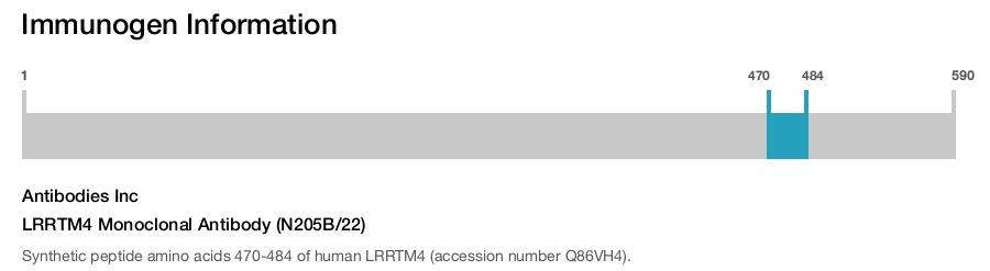 LRRTM4 Monoclonal Antibody (N205B/22)