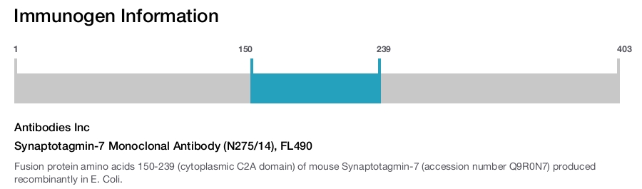 Synaptotagmin-7 Monoclonal Antibody (N275/14), FL490