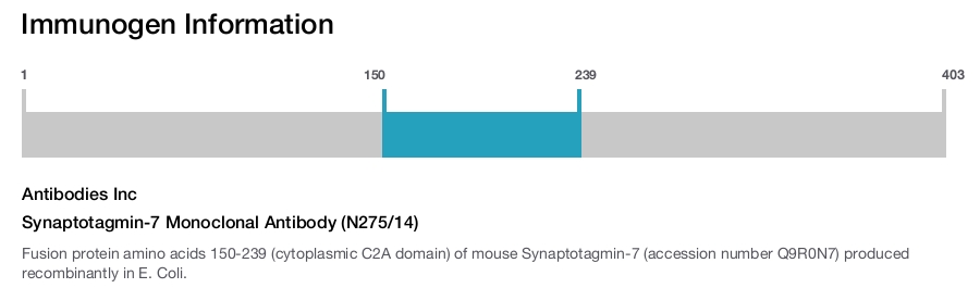 Synaptotagmin-7 Monoclonal Antibody (N275/14)