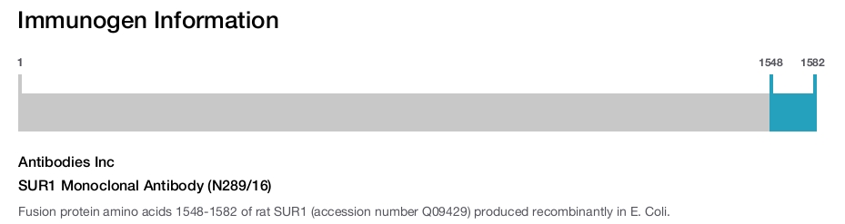 SUR1 Monoclonal Antibody (N289/16)