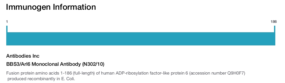 BBS3/Arl6 Monoclonal Antibody (N302/10)
