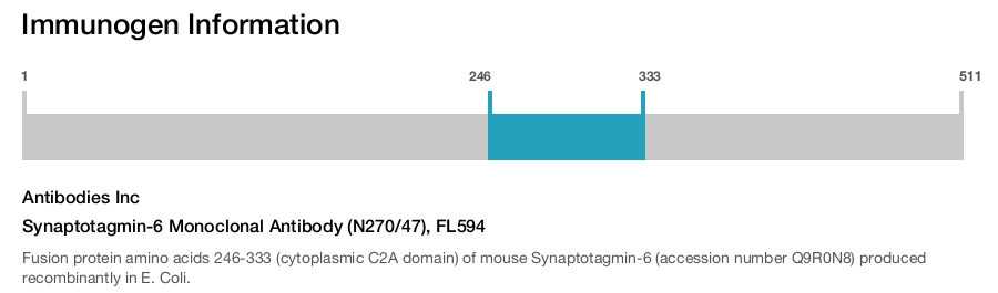 Synaptotagmin-6 Monoclonal Antibody (N270/47), FL594