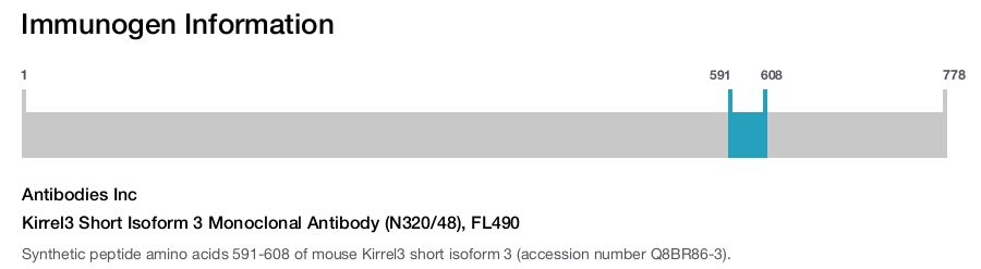 Kirrel3 Short Isoform 3 Monoclonal Antibody (N320/48), FL490