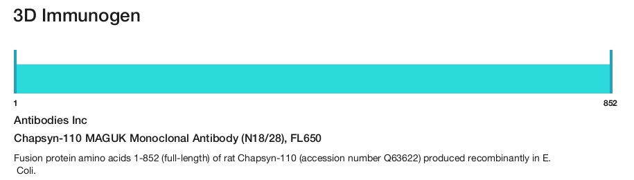 Chapsyn-110 MAGUK Monoclonal Antibody (N18/28), FL650