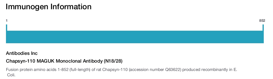 Chapsyn-110 MAGUK Monoclonal Antibody (N18/28)