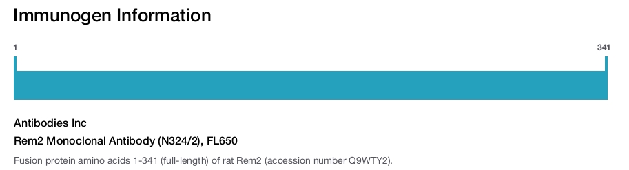 Rem2 Monoclonal Antibody (N324/2), FL650