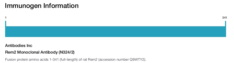 Rem2 Monoclonal Antibody (N324/2)