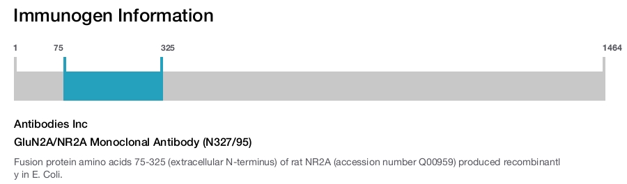 GluN2A/NR2A Monoclonal Antibody (N327/95)