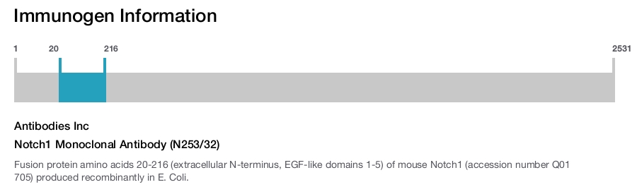 Notch1 Monoclonal Antibody (N253/32)