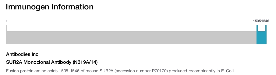 SUR2A Monoclonal Antibody (N319A/14)