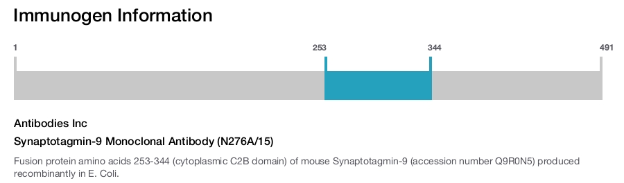 Synaptotagmin-9 Monoclonal Antibody (N276A/15)