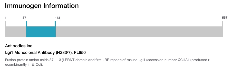 Lgi1 Monoclonal Antibody (N283/7), FL650