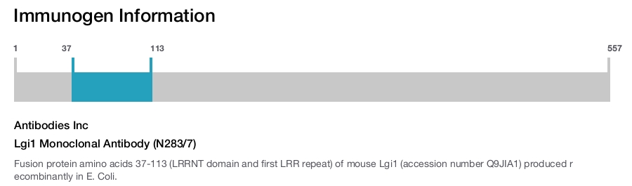 Lgi1 Monoclonal Antibody (N283/7)