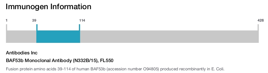 BAF53b Monoclonal Antibody (N332B/15), FL550