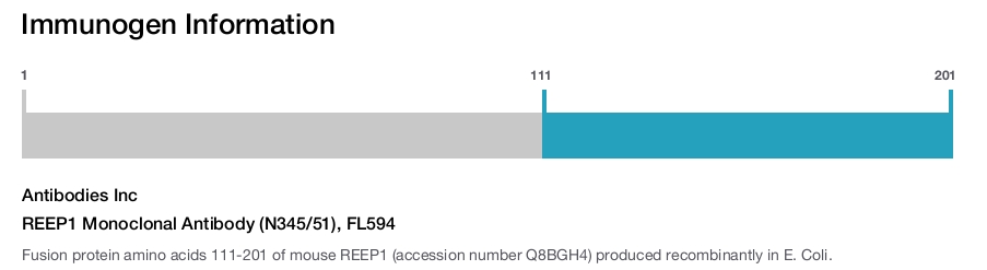 REEP1 Monoclonal Antibody (N345/51), FL594