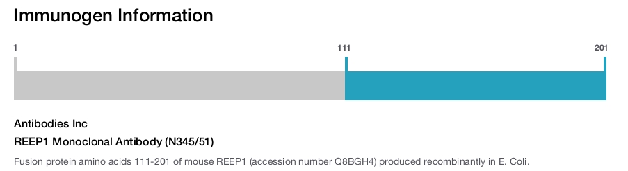 REEP1 Monoclonal Antibody (N345/51)