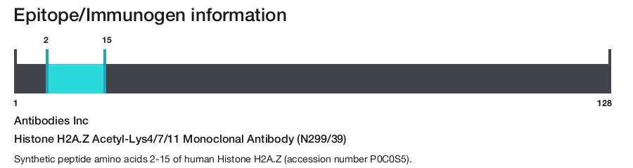 Histone H2A.Z Acetyl-Lys4/7/11 Monoclonal Antibody (N299/39)