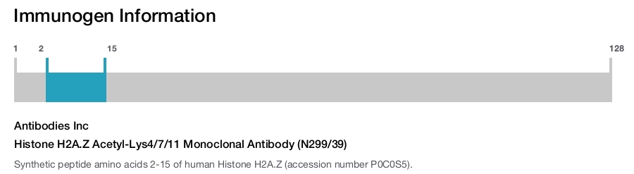 Histone H2A.Z Acetyl-Lys4/7/11 Monoclonal Antibody (N299/39)