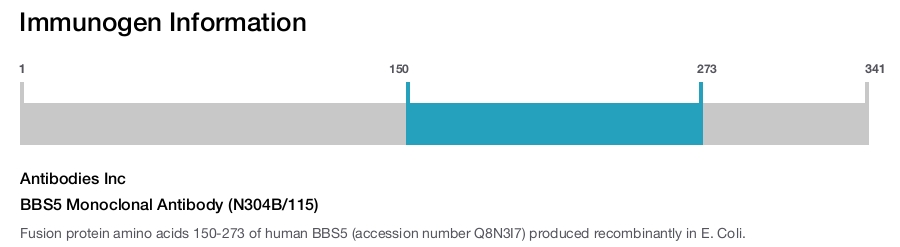 BBS5 Monoclonal Antibody (N304B/115)
