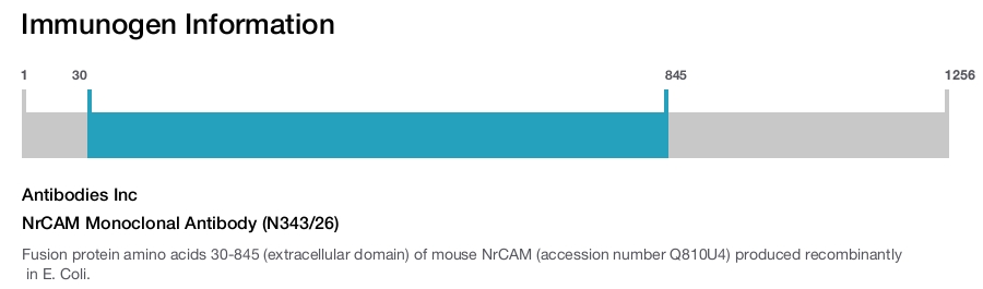 NrCAM Monoclonal Antibody (N343/26)