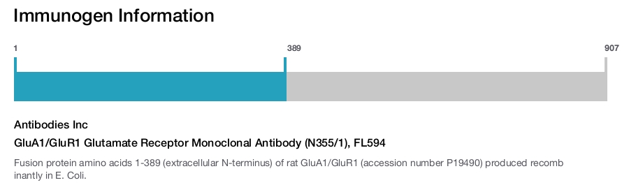 GluA1/GluR1 Glutamate Receptor Monoclonal Antibody (N355/1), FL594