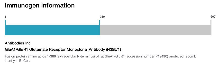 GluA1/GluR1 Glutamate Receptor Monoclonal Antibody (N355/1)