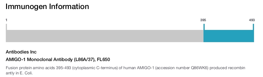 AMIGO-1 Monoclonal Antibody (L86A/37), FL650