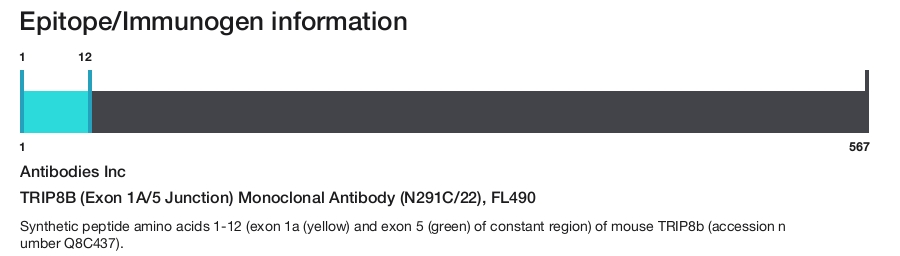 TRIP8B (Exon 1A/5 Junction) Monoclonal Antibody (N291C/22), FL490