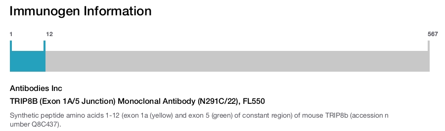 TRIP8B (Exon 1A/5 Junction) Monoclonal Antibody (N291C/22), FL550