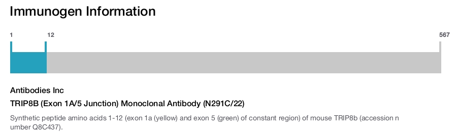 TRIP8B (Exon 1A/5 Junction) Monoclonal Antibody (N291C/22)