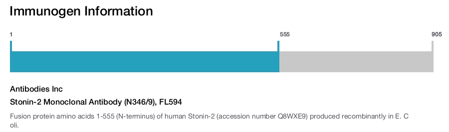 Stonin-2 Monoclonal Antibody (N346/9), FL594