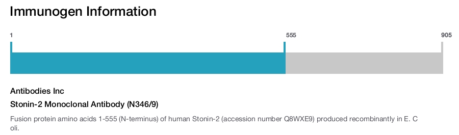Stonin-2 Monoclonal Antibody (N346/9)