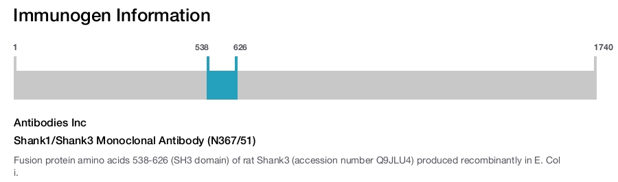 Shank1/Shank3 Monoclonal Antibody (N367/51)