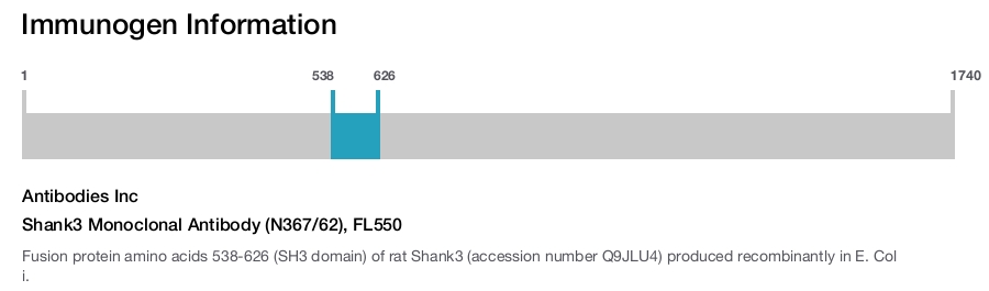 Shank3 Monoclonal Antibody (N367/62), FL550