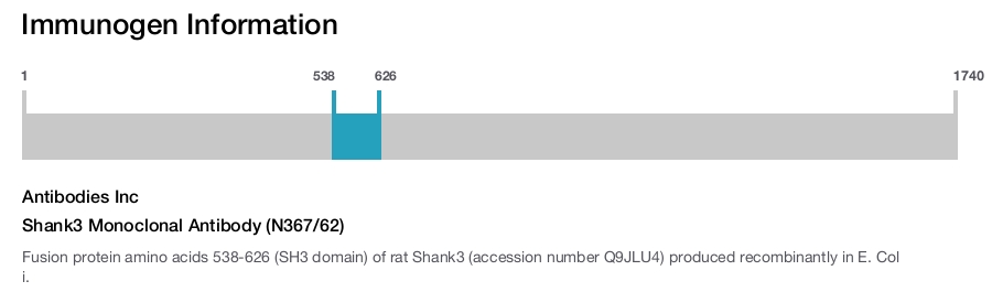 Shank3 Monoclonal Antibody (N367/62)
