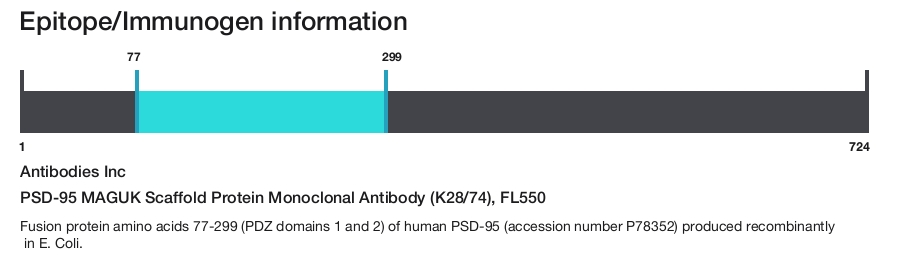 PSD-95 MAGUK Scaffold Protein Monoclonal Antibody (K28/74), FL550
