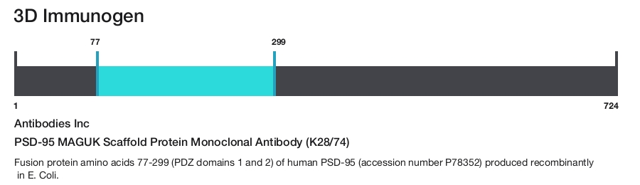PSD-95 MAGUK Scaffold Protein Monoclonal Antibody (K28/74)