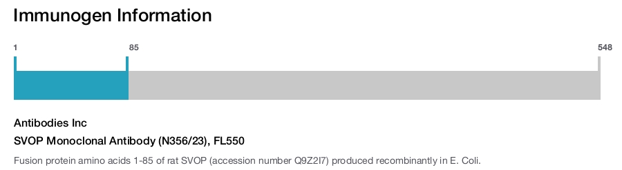 SVOP Monoclonal Antibody (N356/23), FL550