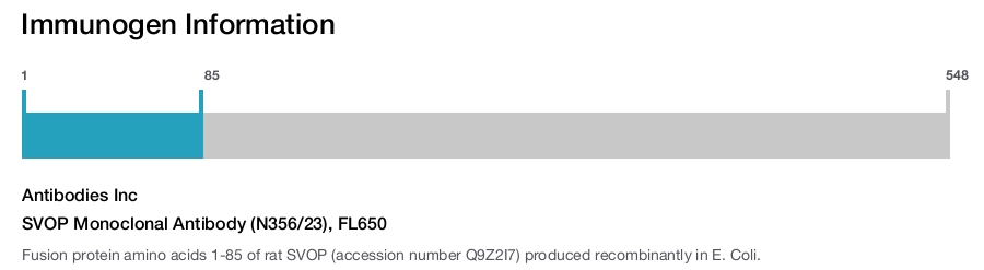 SVOP Monoclonal Antibody (N356/23), FL650