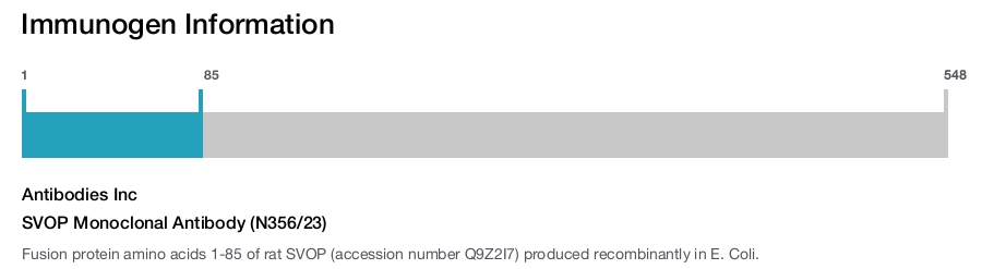 SVOP Monoclonal Antibody (N356/23)