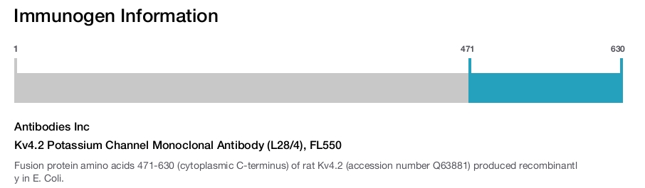 Kv4.2 Potassium Channel Monoclonal Antibody (L28/4), FL550