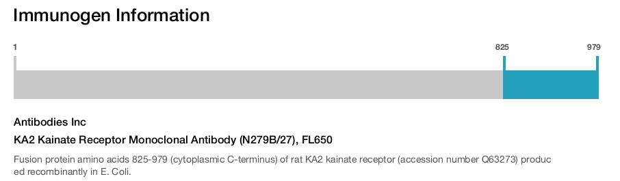 KA2 Kainate Receptor Monoclonal Antibody (N279B/27), FL650