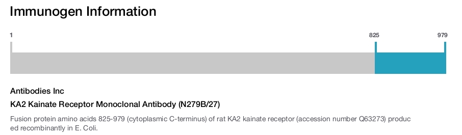 KA2 Kainate Receptor Monoclonal Antibody (N279B/27)