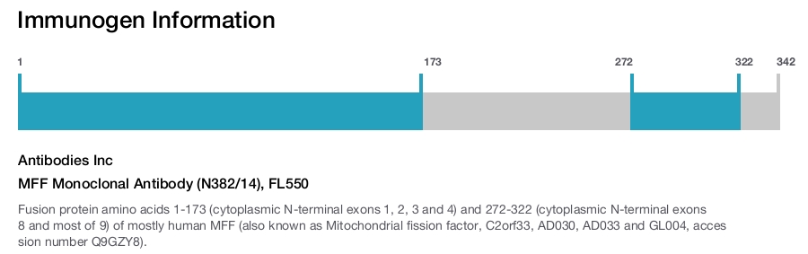 MFF Monoclonal Antibody (N382/14), FL550