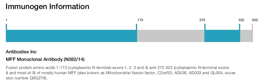 MFF Monoclonal Antibody (N382/14)