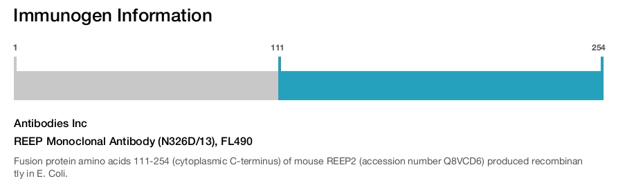 REEP Monoclonal Antibody (N326D/13), FL490