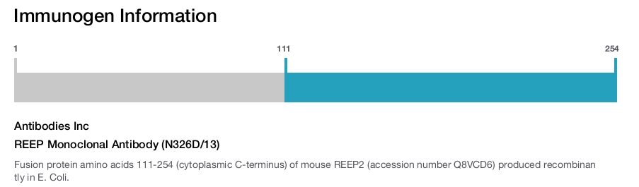 REEP Monoclonal Antibody (N326D/13)