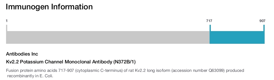 Kv2.2 Potassium Channel Monoclonal Antibody (N372B/1)